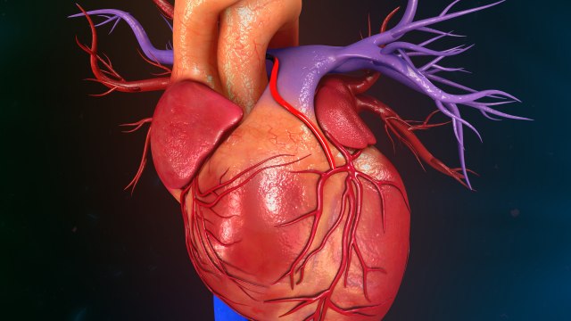 Može li nam veštaèka inteligencija pomoæi u leèenju srca?